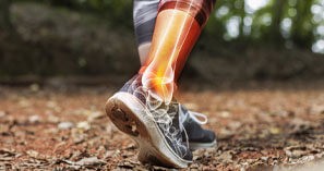 ANOVA Institute for Regenerative Medicine - Können Stammzellen bei orthopädischen Problemen helfen?