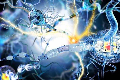 ANOVA Institute for Regenerative Medicine - Generic risk osteoarthritis