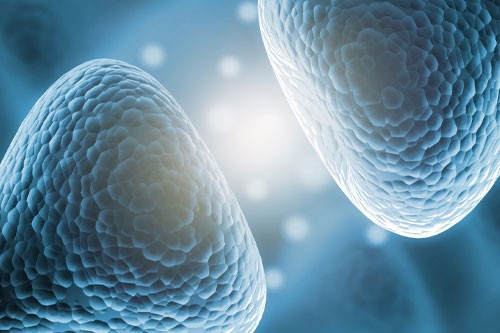 ANOVA Institute for Regenerative Medicine - What are alternative therapies for Parkinson’s Disease