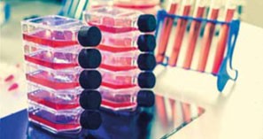 ANOVA Institute for Regenerative Medicine - Overview