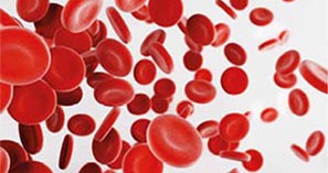 ANOVA Institute for Regenerative Medicine - PRP - Platelet Rich Plasma