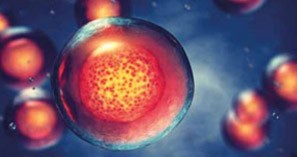 ANOVA Institute for Regenerative Medicine - Stem Cell Secretome