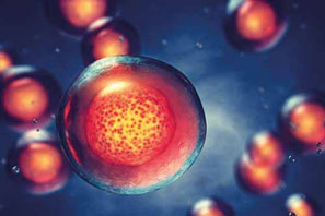 anova institute for regenerative medicine stem cell secretome